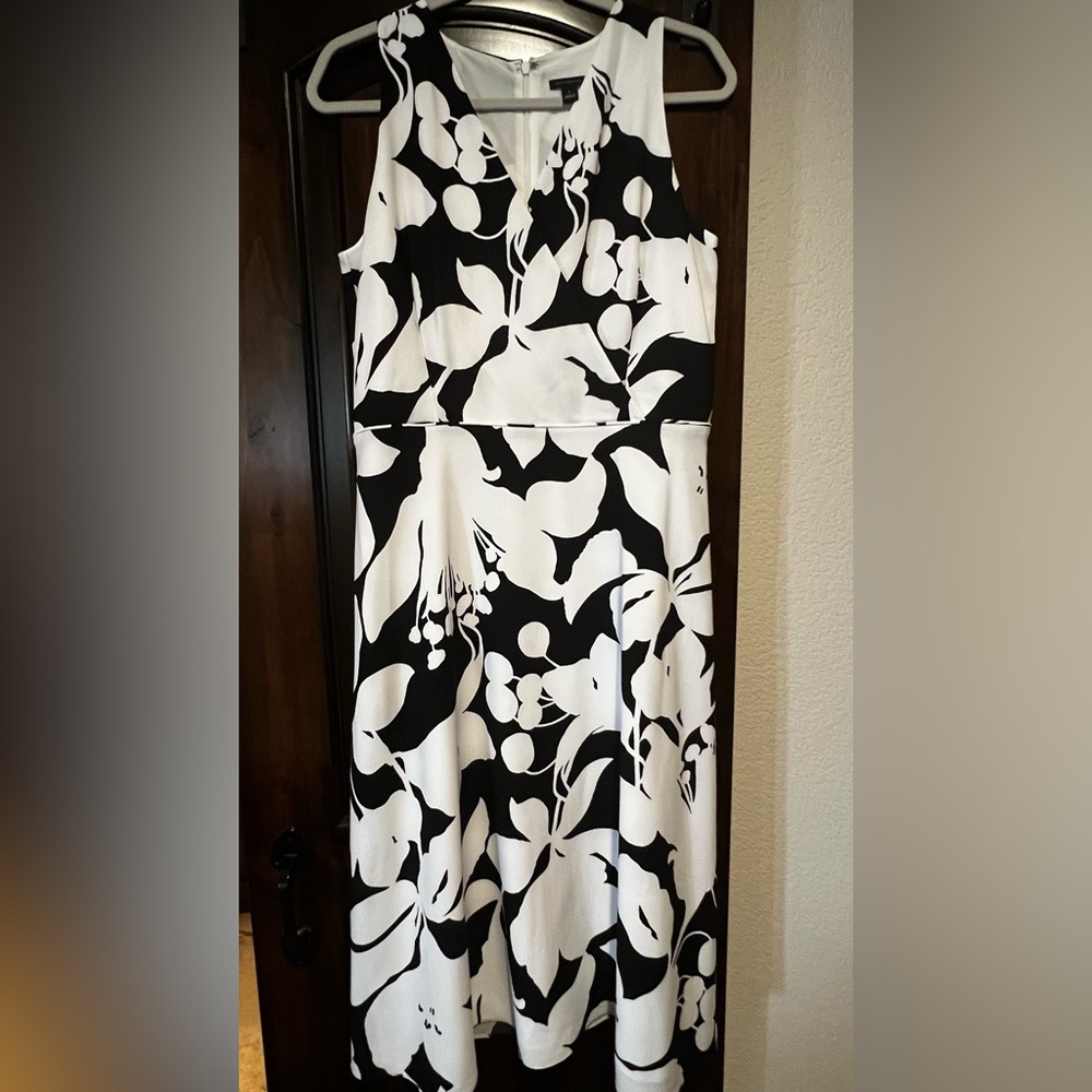 Ann Taylor Black and White Floral Midi Dress